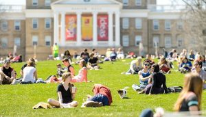 Summer on Bascom.jpg